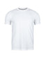 Family Reunion Tee shirts